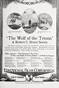 The Wolf of the Tetons