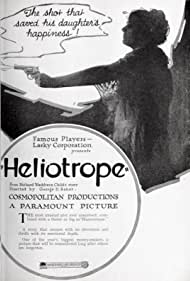 Heliotrope