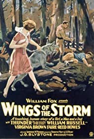 Wings of the Storm