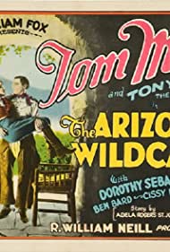 The Arizona Wildcat