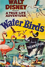 Water Birds