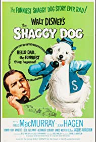 The Shaggy Dog