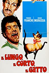 Il lungo, il corto, il gatto