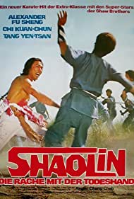 The Shaolin Avengers