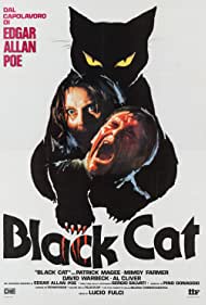 The Black Cat