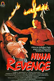 Ninja Vengeance