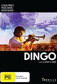 Dingo