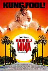 Beverly Hills Ninja