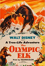 The Olympic Elk