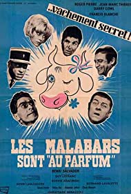 Les malabars sont au parfum