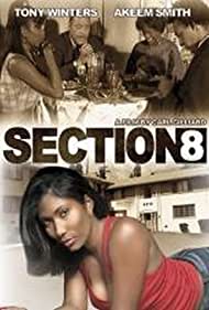 Section 8