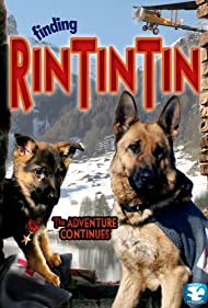 Finding Rin Tin Tin