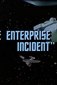 The Enterprise Incident