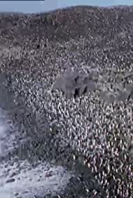 Ice Worlds