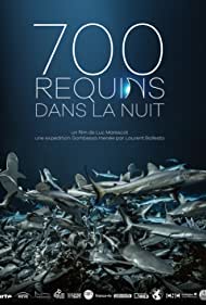 700 requins dans la nuit