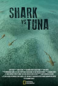 Shark vs Tuna