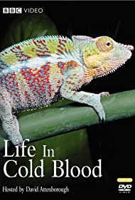 Life in Cold Blood