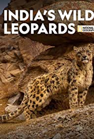 India's Wild Leopards