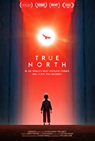 True North