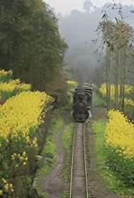 The Last Little Train in China