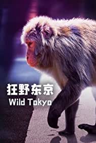 Wild Tokyo