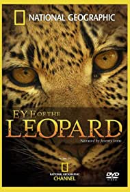 Eye of the Leopard