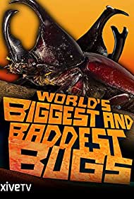 World's Biggest and Baddest Bugs