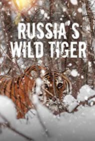 Russia's Wild Tiger