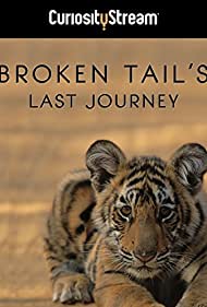 Broken Tail