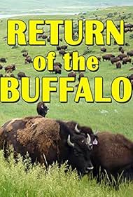 The Return of the Buffalo: Restoring the Great American Prairie