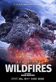 After the Wildfires