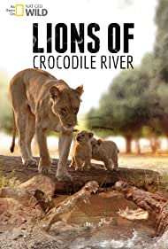 Lions of Crocodile River