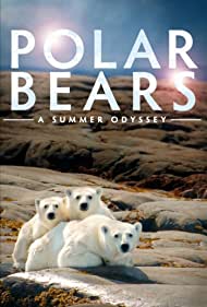 Polar Bears: A Summer Odyssey