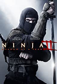 Ninja: Shadow of a Tear