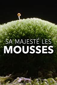 Sa Majesté les mousses