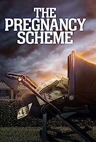 The Pregnancy Scheme