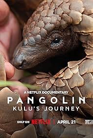 Pangolin: Kulu's Journey
