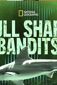 Bull Shark Bandits