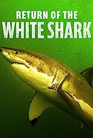 Return of the White Shark