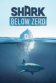 Shark Below Zero