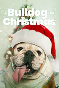 A Bulldog for Christmas