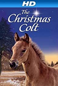 The Christmas Colt