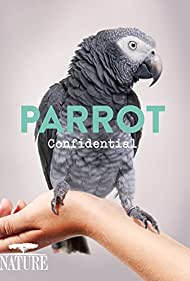 Parrot Confidential