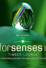 Forsenses II: Timber Lounge