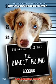 The Bandit Hound