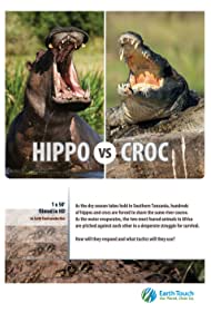 Hippo vs Croc