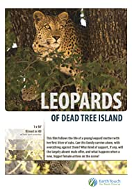 Leopards of Dead Tree Island