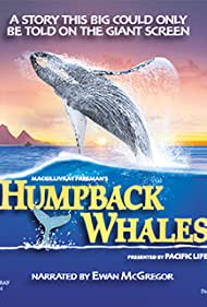 Humpback Whales