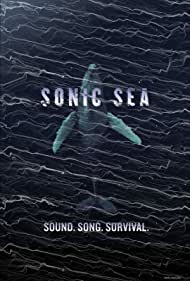 Sonic Sea