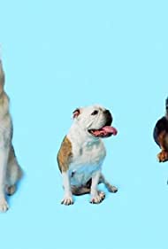 How Dogs Got Their Shapes